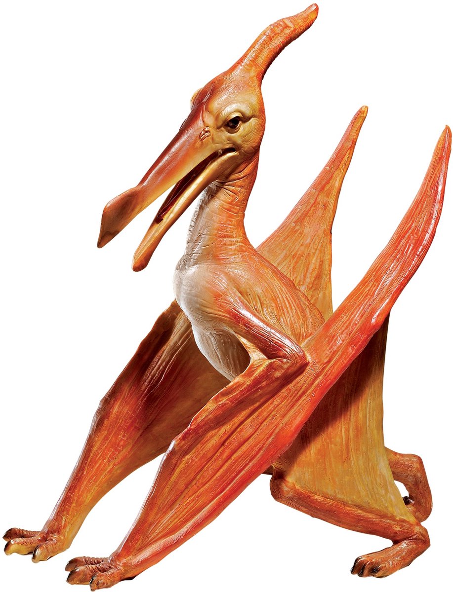 SnelShoppen - Realistisch Geschaald Jurassic Pterodactyl Dinosaurus Standbeeld - Hoogwaardige Replica - Prehistorisch Beeld voor Tuin, Kantoor of Kind
