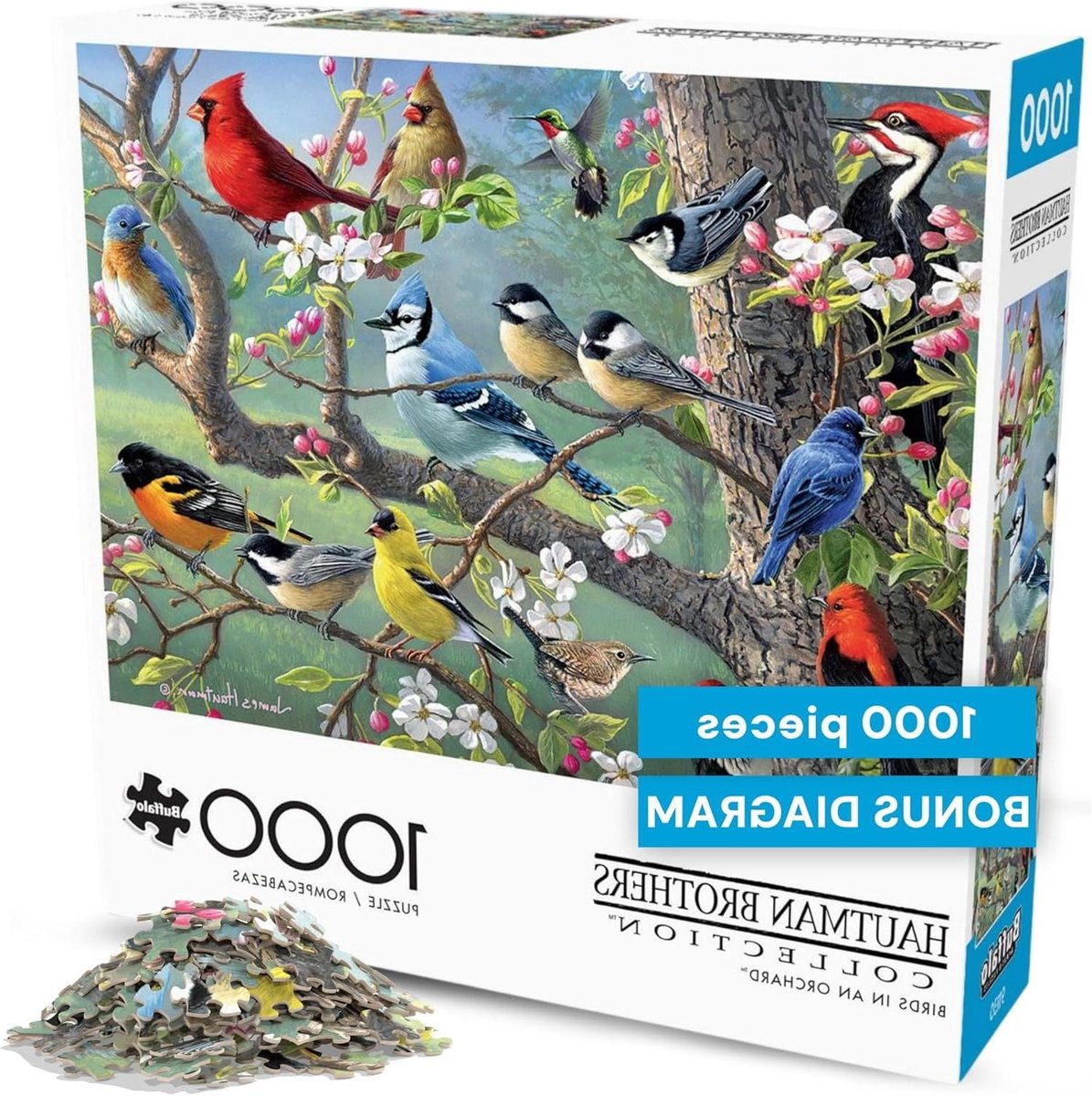 Legpuzzel 1000 stukjes - Natuur Puzzel - Ontspannen Hobby - Gedetailleerde Natuurkunst - 1000 Stukjes - Meerkleurig