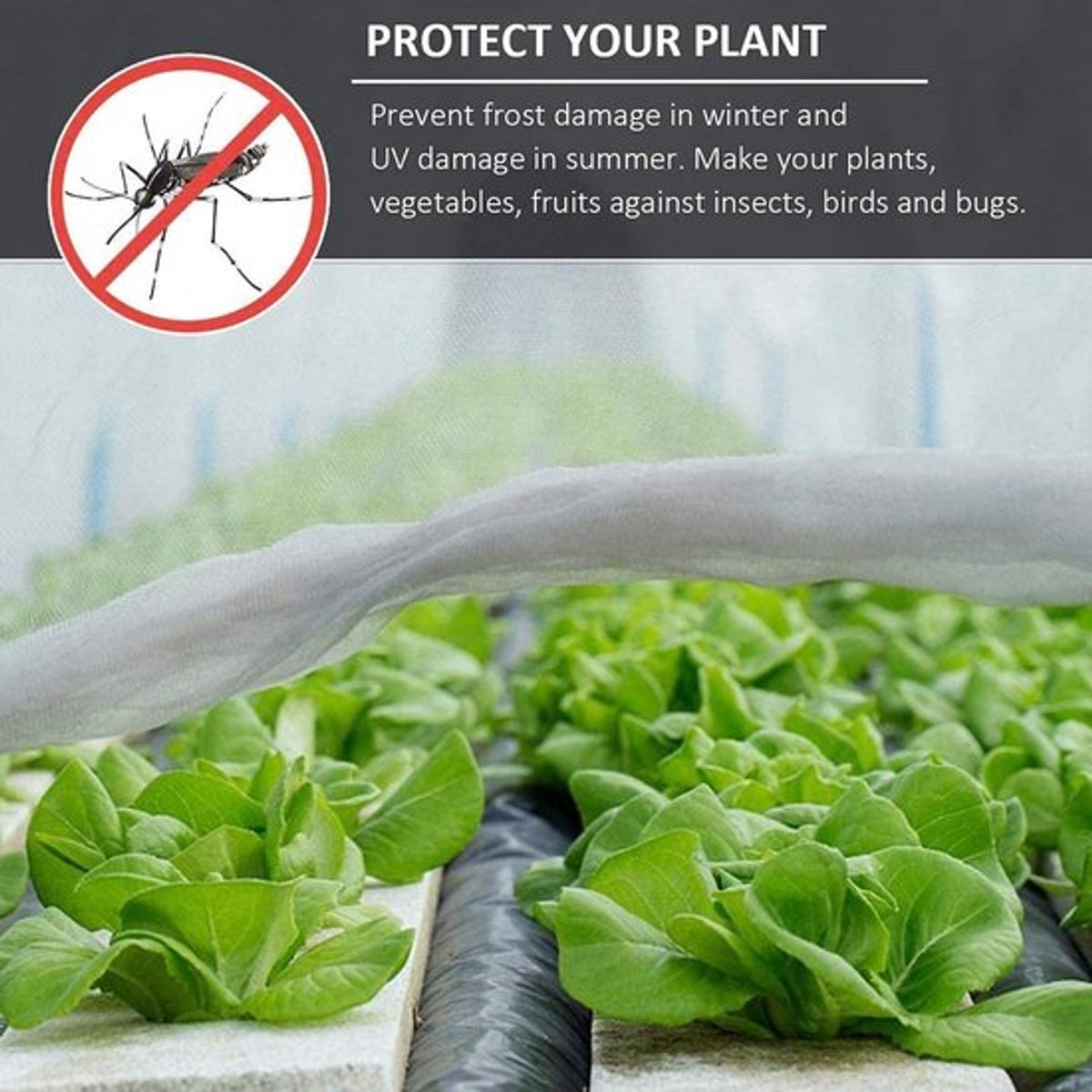 Insectennet 3 m x 4 m - Vliegengordijn - Insectengaas - Bescherming voor Planten - Fijnmazig - Duurzaam PE-materiaal - Tuinnet