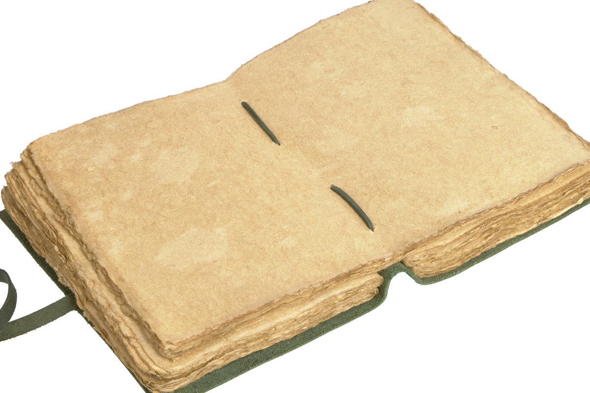 SnelShoppen - GlobeeCraft Reisdagboek Groen Leer met Levensboom, Handgemaakt Katoenpapier, Perfect als Notitieboek, Dagboek, Vintage Leer 21 x 16 cm