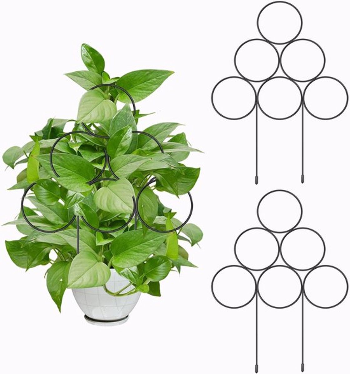 2 Stuks 40cm Metalen Tuinschermen, Planten Trellis voor Binnen met 5 Stuks Wielen, Ideaal voor Potplanten en Klimplanten zoals Ivy en Bloemen (Zwart)