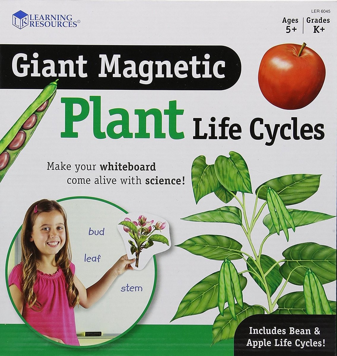 Solidchoice - Giant Magnetisch Planten Levenscyclus Kit