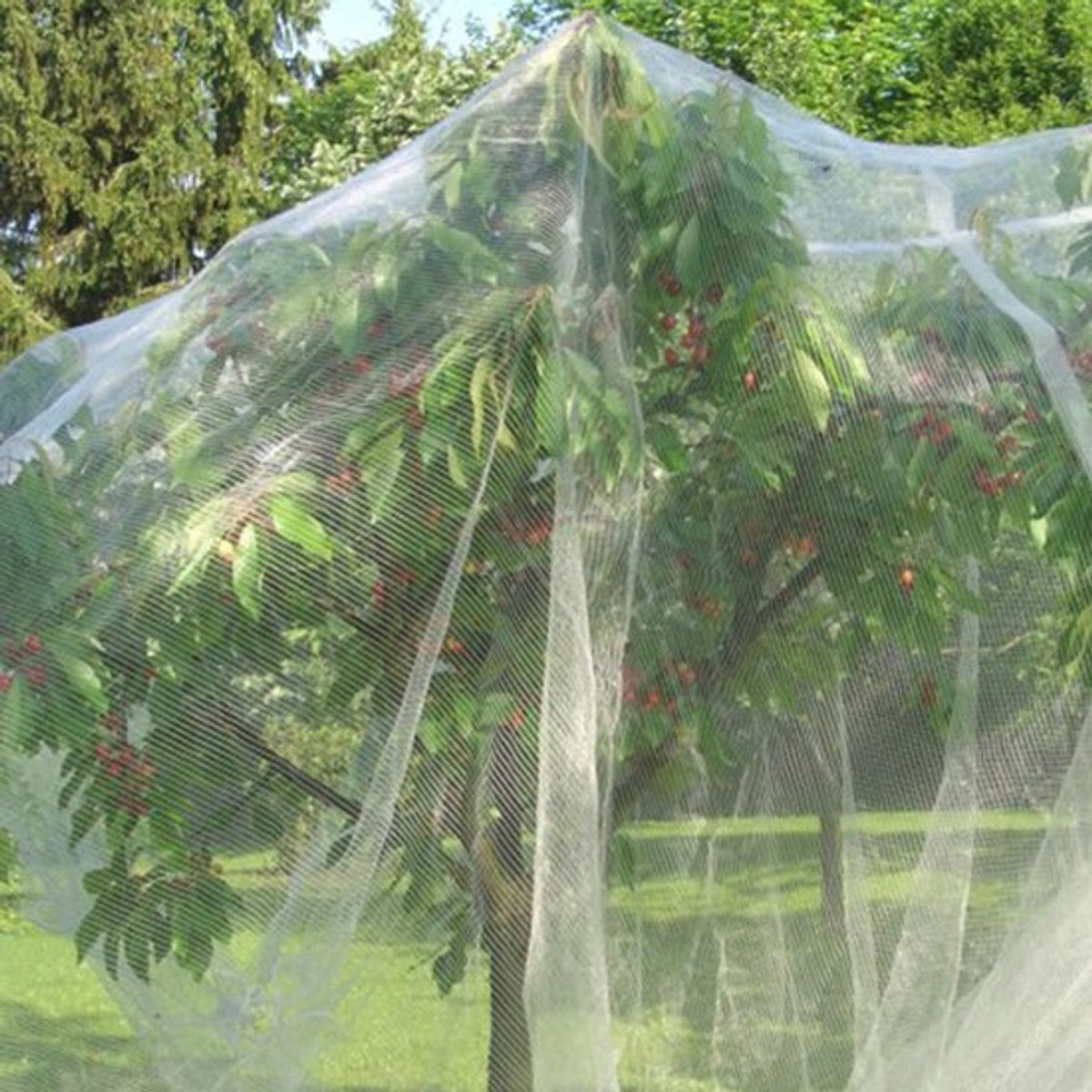 Vogelscherm Tuinbescherming - Plantenbeschermingsnet - Barrièrezakken - Trekkoord - 2 Stukken - PE Materiaal - 1,5 x 1 m - Plantennet