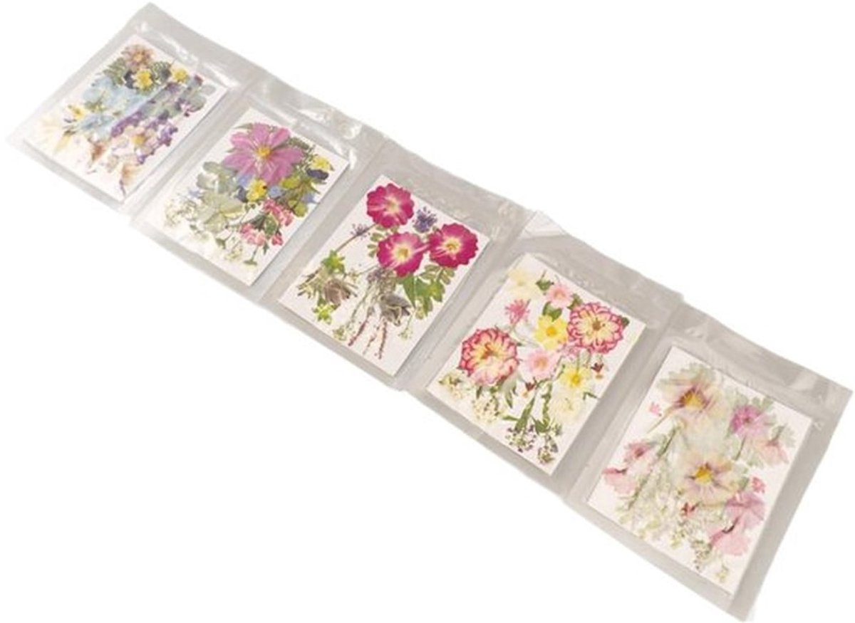 Gedroogde Bloemen 100 Stuks - Geperste Bloemen - Multifunctioneel voor Hars - Scrapbooking - Nail Art - Levendige Kleuren