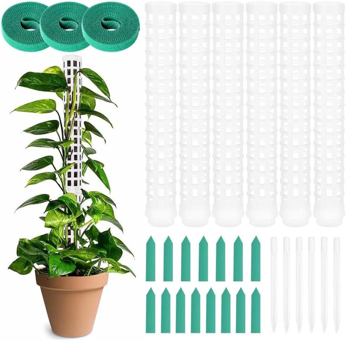 Moss Stokken voor Monstera Klimplanten met 15 Labels en 3 Rollers - 150 cm Ondersteuning voor Binnen- en Tuinplanten