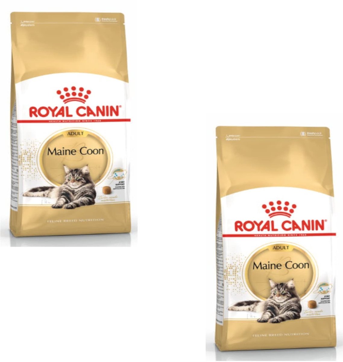 Solidchoice - Droog Voer voor Maine Coon Katten met Ondersteuning voor Gewrichten