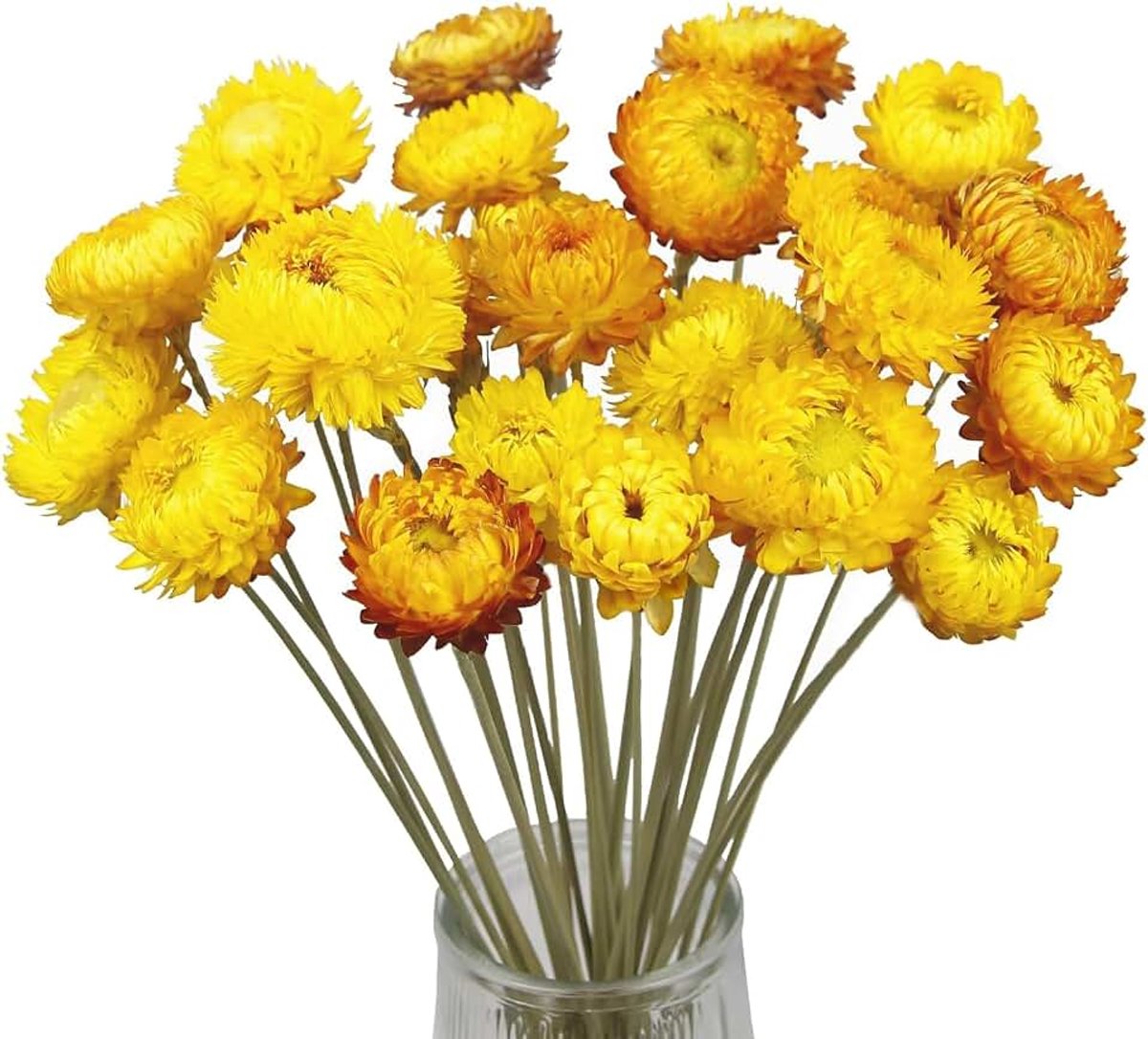 Gedroogde madeliefjes, gedroogde bloemen, decoratief voor vaas, boho van hars, voor doe-het-zelf handwerk, album, uitsparing, woondecoratie (geel)