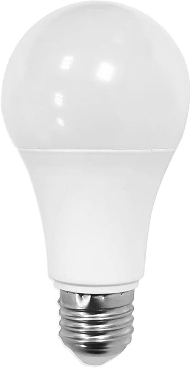 Realistische gloeilamp afleidingskluis met verborgen compartiment Geheime opbergdoos voor waardevolle spullen Discrete schuilplaats Gloeilamp Dummy Opbergkluis Accessoires