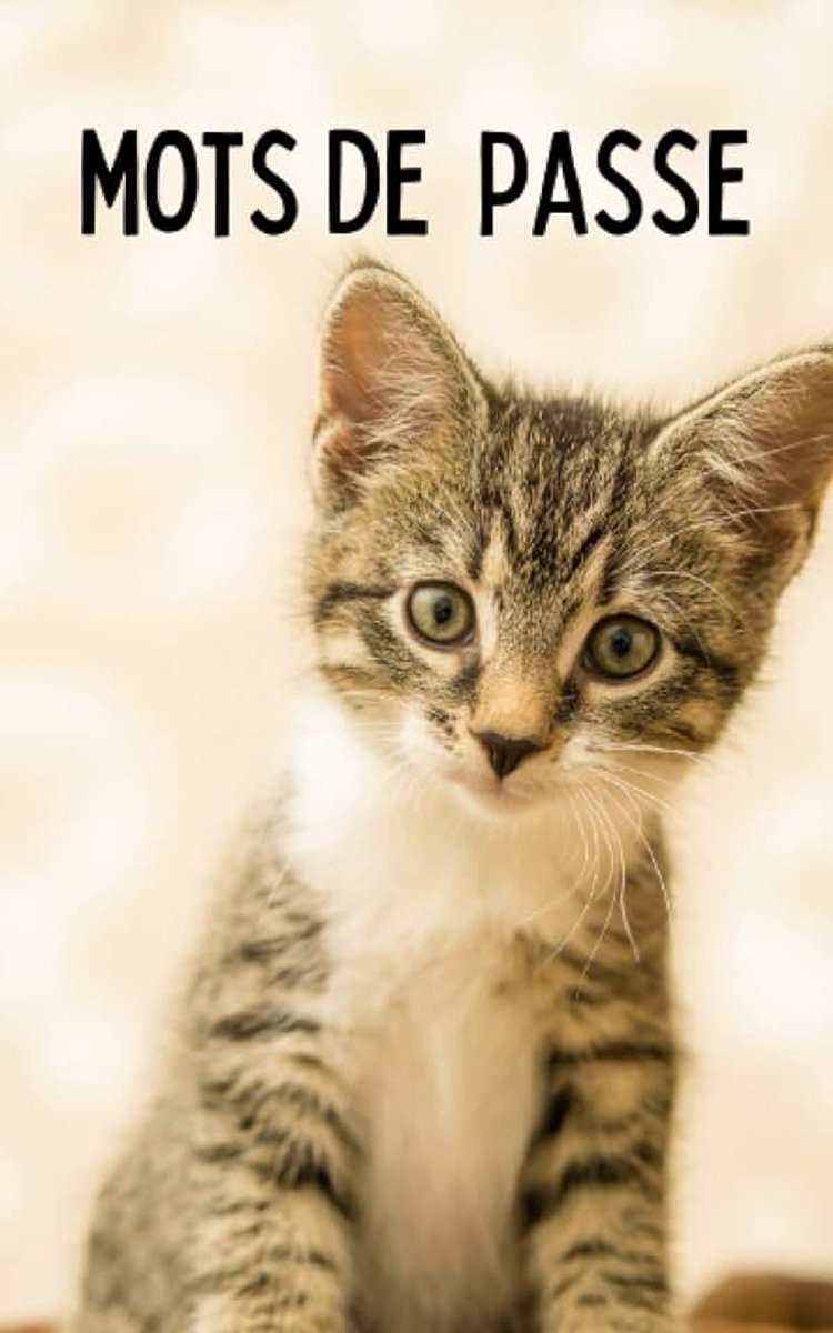 Mes mots de passe: un carnet de mots de passe avec un joli chaton en couverture. pour noter ses adresses de sites internet et ses mots de passes. ... . 104 pages rangées par ordre alphabétique