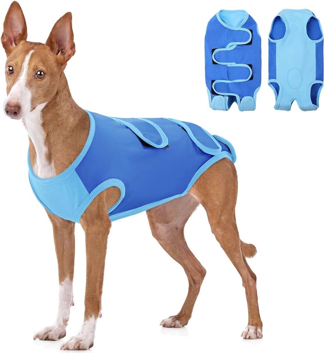 Hondenbody na op, hondenbody na castratie, hondenpyjama voor kleine, middelgrote en grote honden, herstelpak na operatie, anti-likken, alternatief voor wondbescherming, alternatief voor kegel