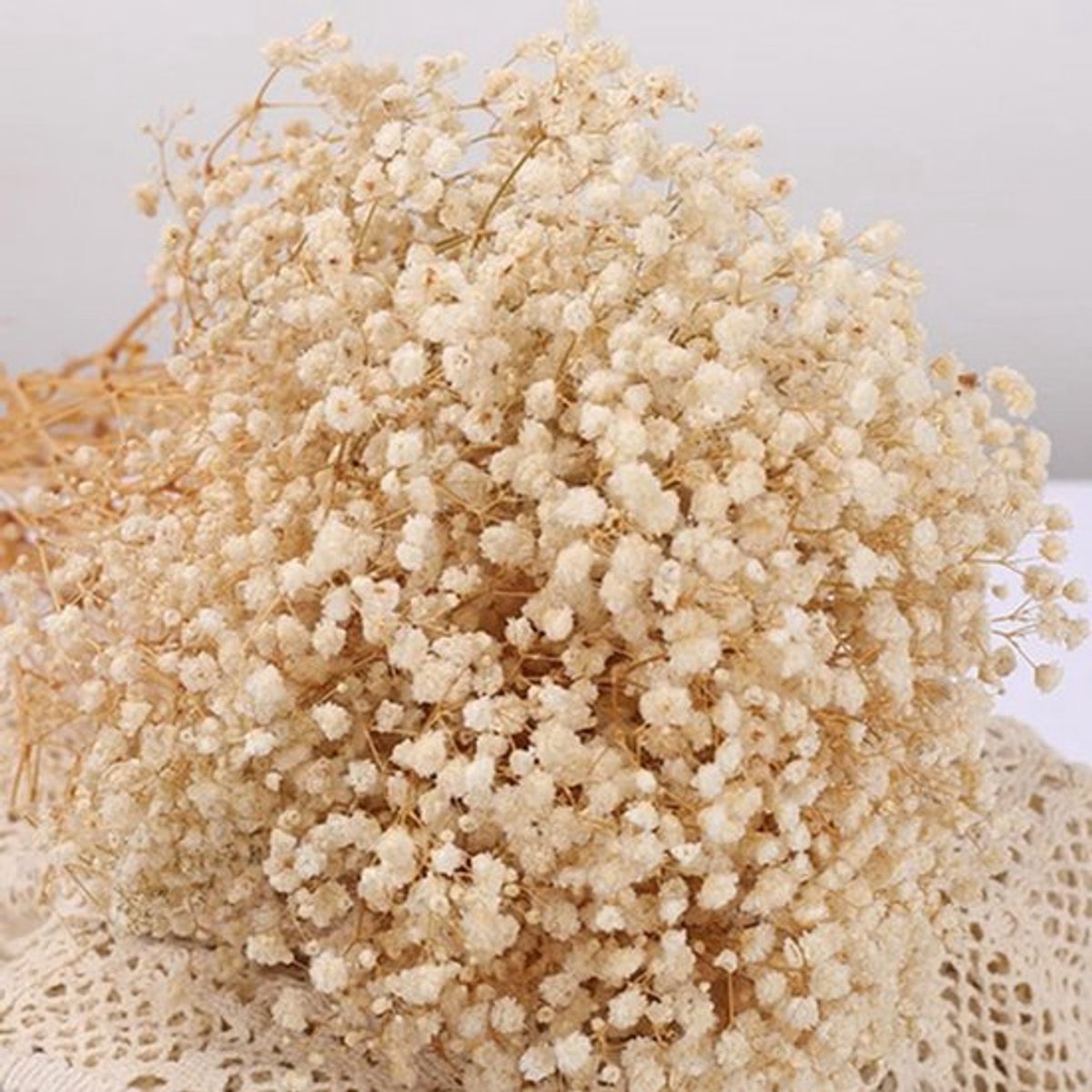 Prachtig Droogbloemenboeket met 2000+ Ivoren Witte Gypsophila Takken voor Bruiloft, Tafelversiering en Feestdecoratie