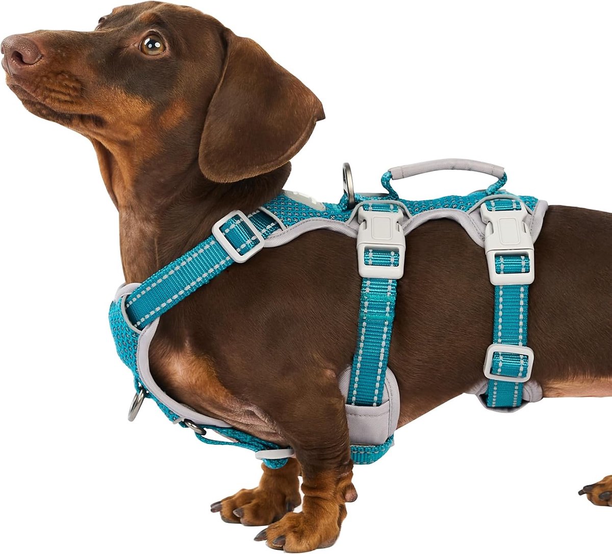 Escape Proof Harness, Geen Slip Hondenharnas Escape Proof, Volledig Reflecterend Harnas met Handvat, Ademend, Verstelbaar Vest voor Middelgrote Honden Wandelen, Running Gear (Blauw,M)
