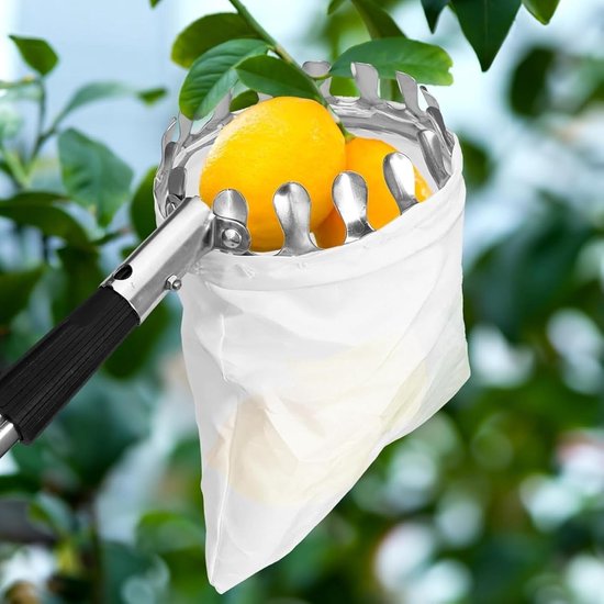 Fruitplukker met steel - Appelplukker Kersenplukker - Fruit Oogsten - Uitschuifbare steel - 2.8 meter - Zilver — afbeelding 3