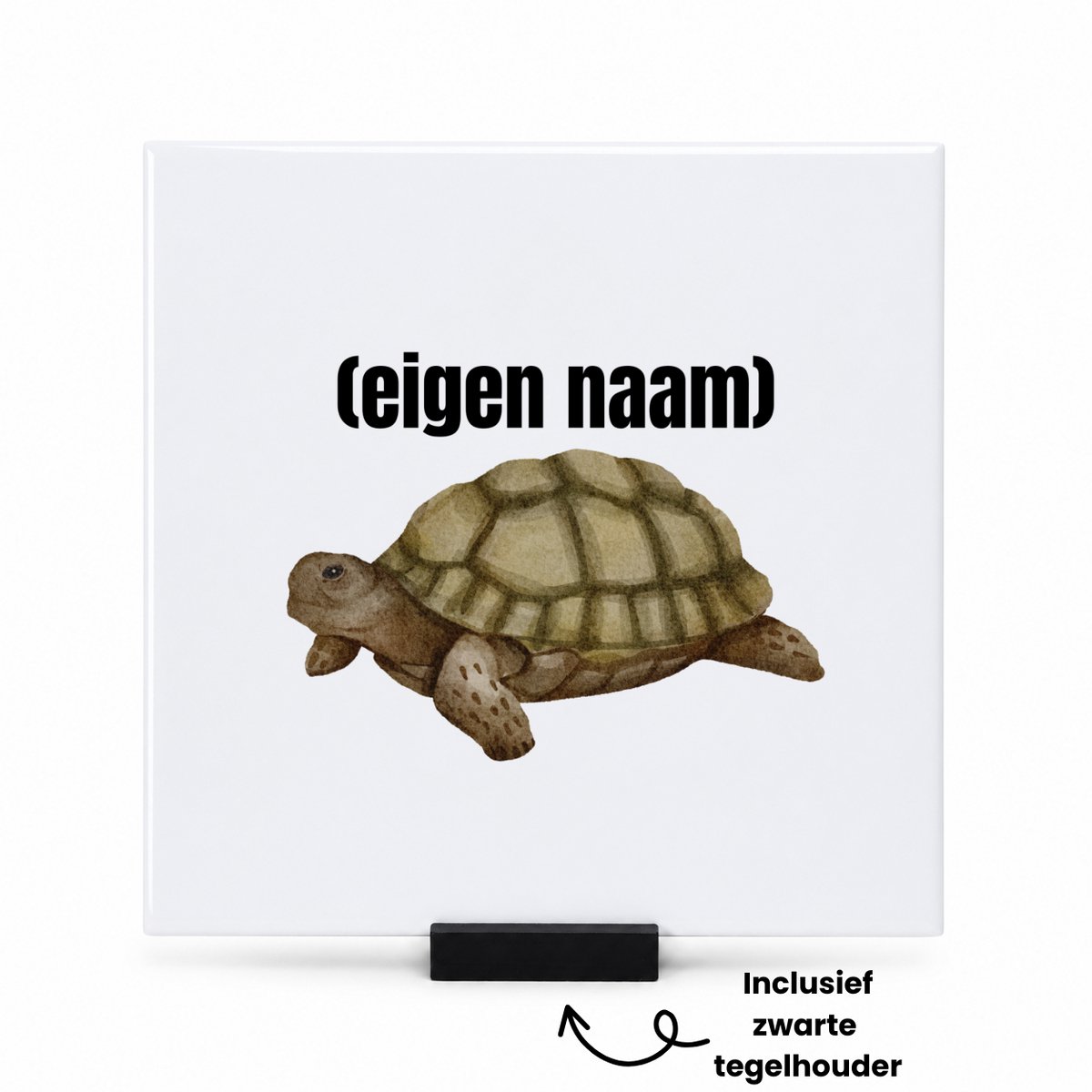Hacebo schildpad met eigen naam tegeltje met tegelhouder - Schildpad - schildpad liefhebbers - tegeltjes met tekst - iemand die houdt van schildpadden - verjaardag - cadeau - kado - spreuktegels - 15x15 CM Wit