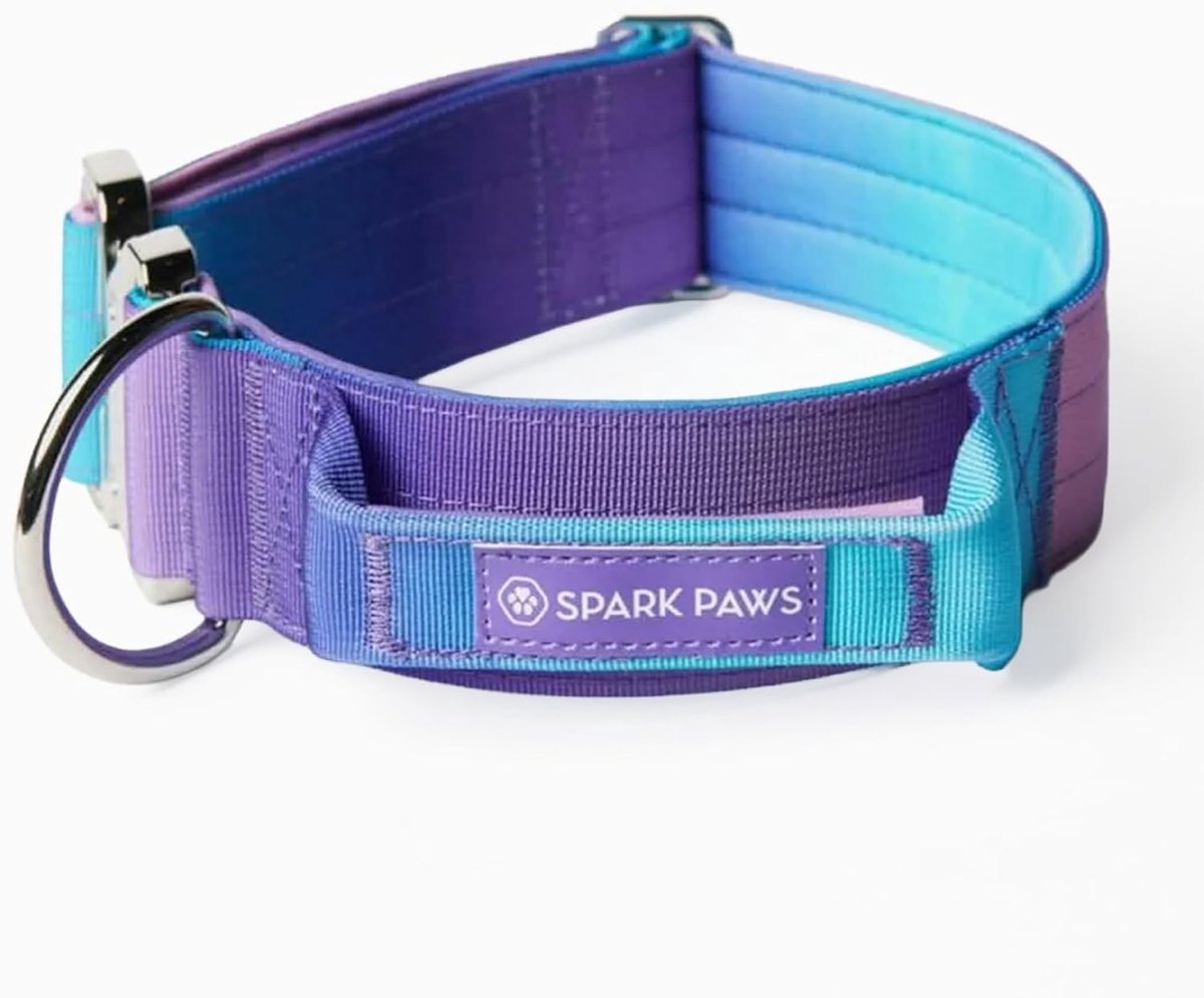 SnelShoppen - Tactische hondenhalsband - Heavy Duty, Premium Kwaliteit, Dik en Duurzaam, Retro Jaren 90, Voor Grote en Middelgrote Honden - Maat L