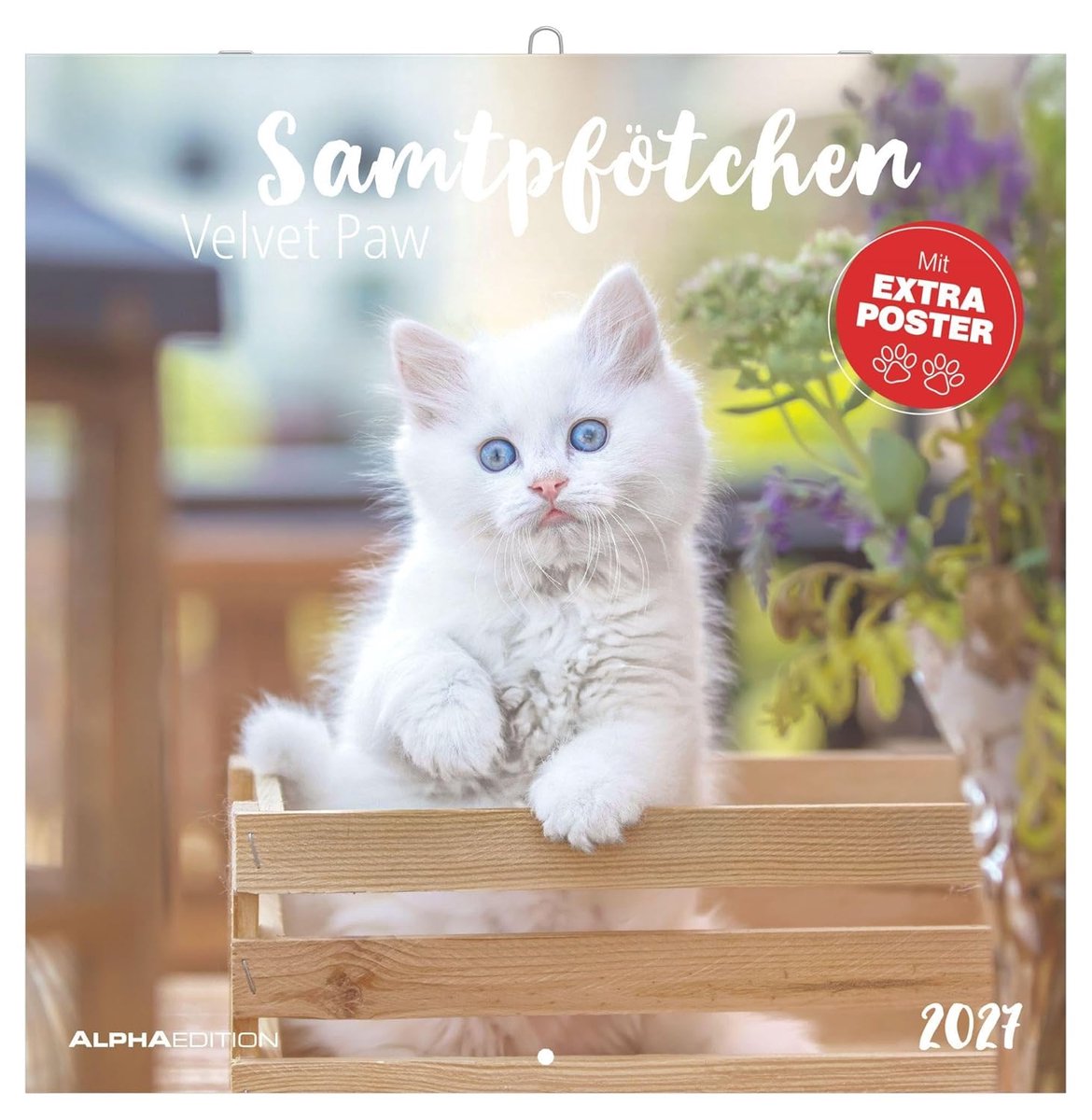 SnelShoppen - Samtpfötchen 2027 Wandkalender 30x30 cm met Notizkalendarium, 12 Schattige Kattenmotieven en Extra Poster voor Thuis en op Kantoor