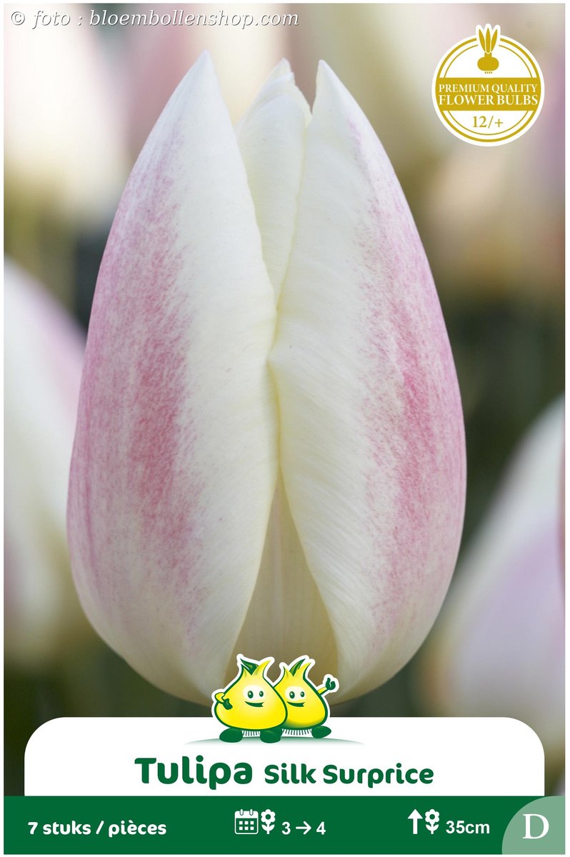 2 Zakjes Vroege Tulpen Silk Surprise maat 12/+