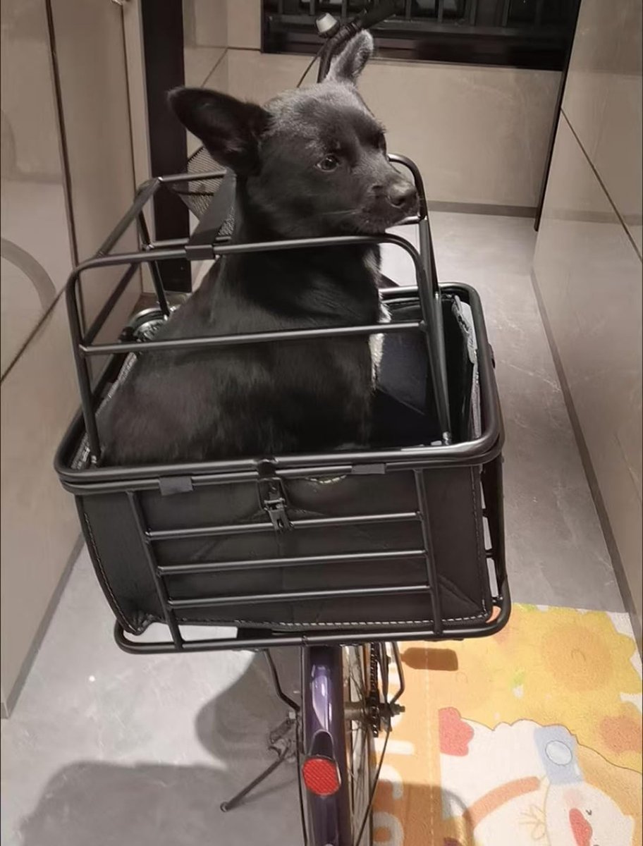 Achterfiets Mand voor Honden en Katten - Verstelbare Draagkooi met Voering - Veilig en Comfortabel - Ideaal voor Reizen - ShopVlot