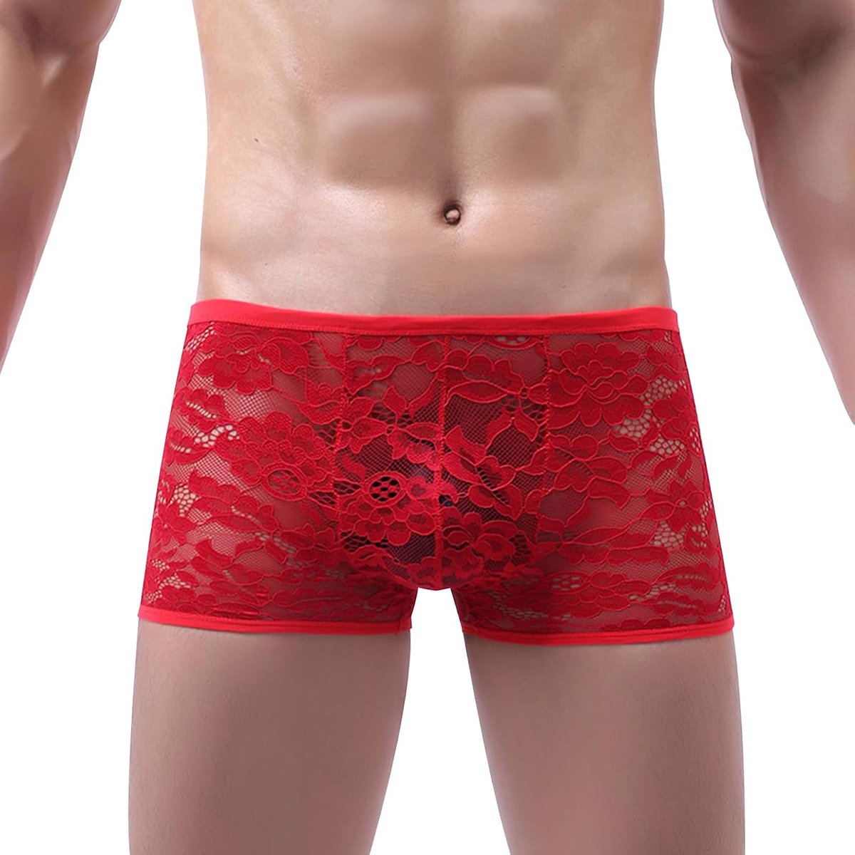 Men's Lace Boxer Briefs Sheer Underwear Sissy Mesh Panties Sexy Underwear for Men - ShopVlot
