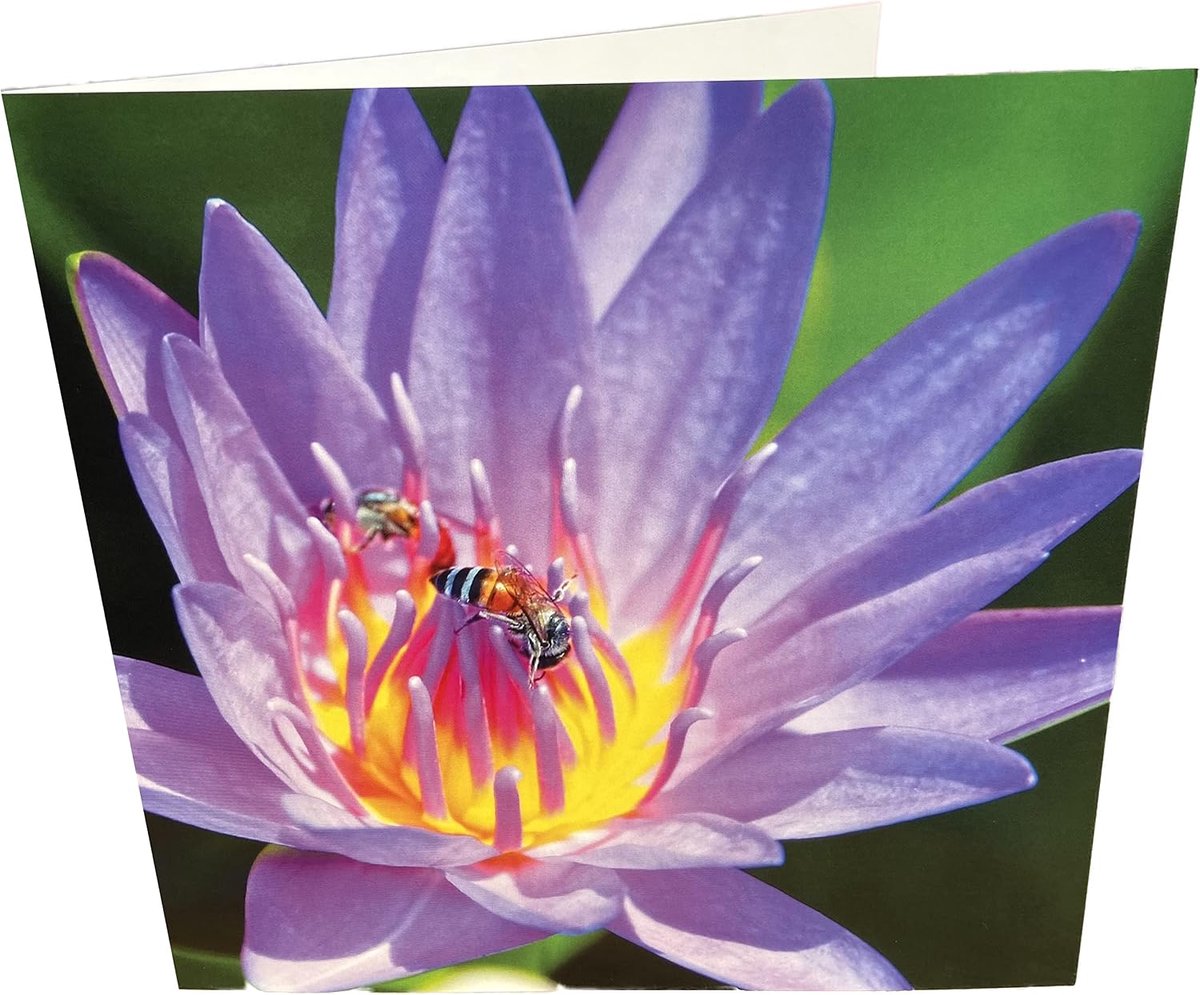 Bees and Flower Square Blank Birthday Card - ShopVlot