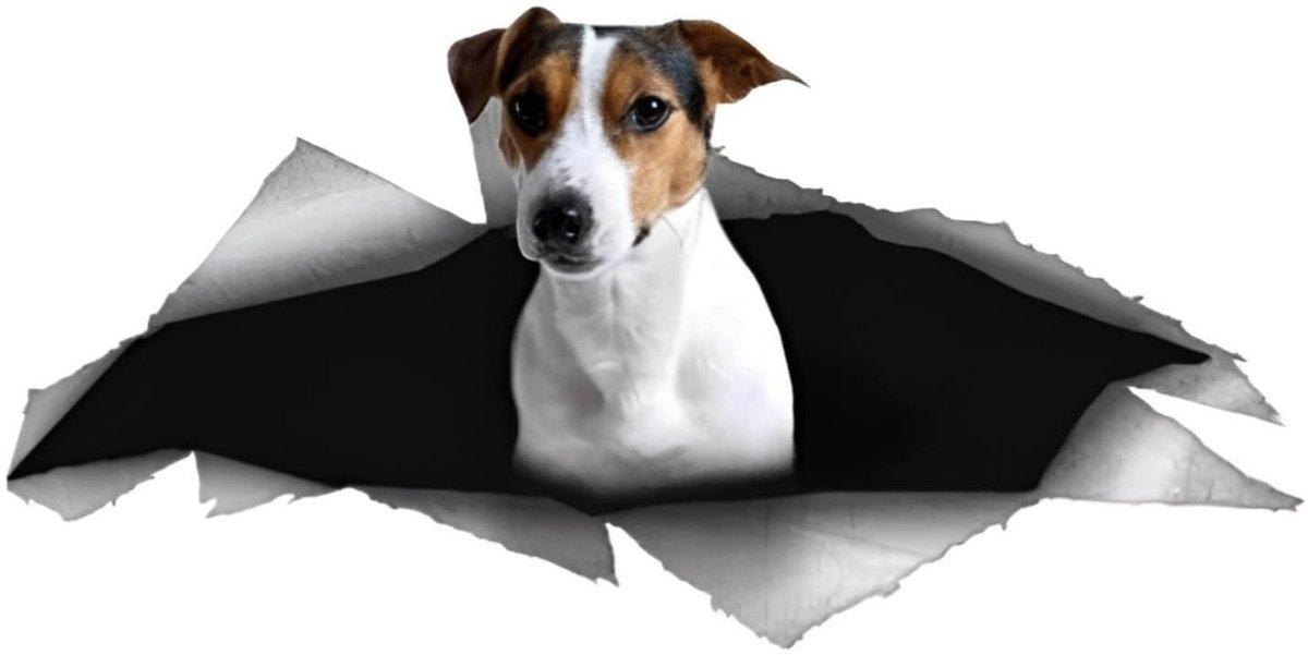 Solidchoice - Reflecterende Jack Russell Terrier Autosticker
