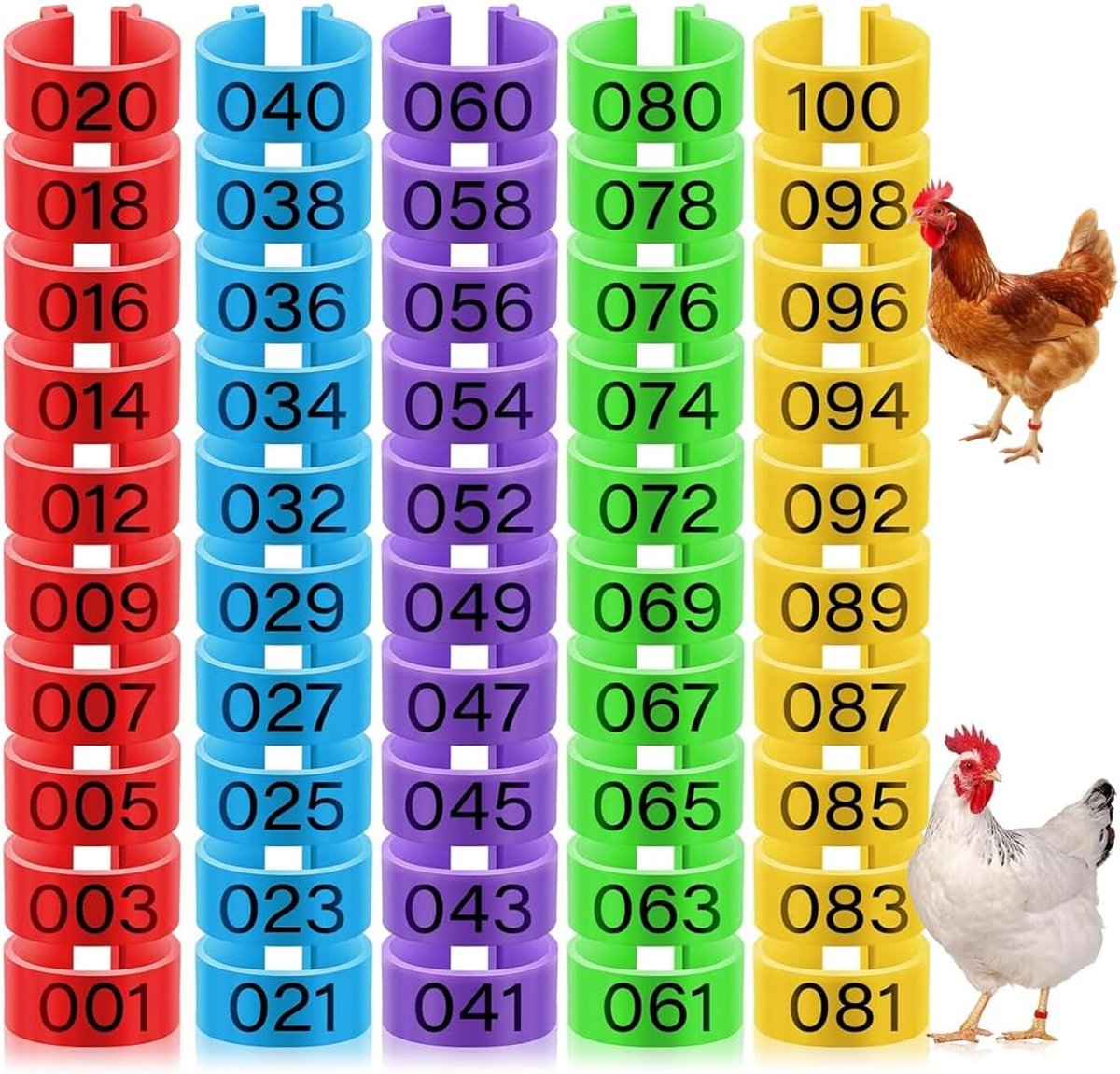 50 Pcs Chicken Identification Leg Rings, Chicken Tags for Legs Poultry Ties Clip on Leg Rings for Chickens Ducks - ShopVlot