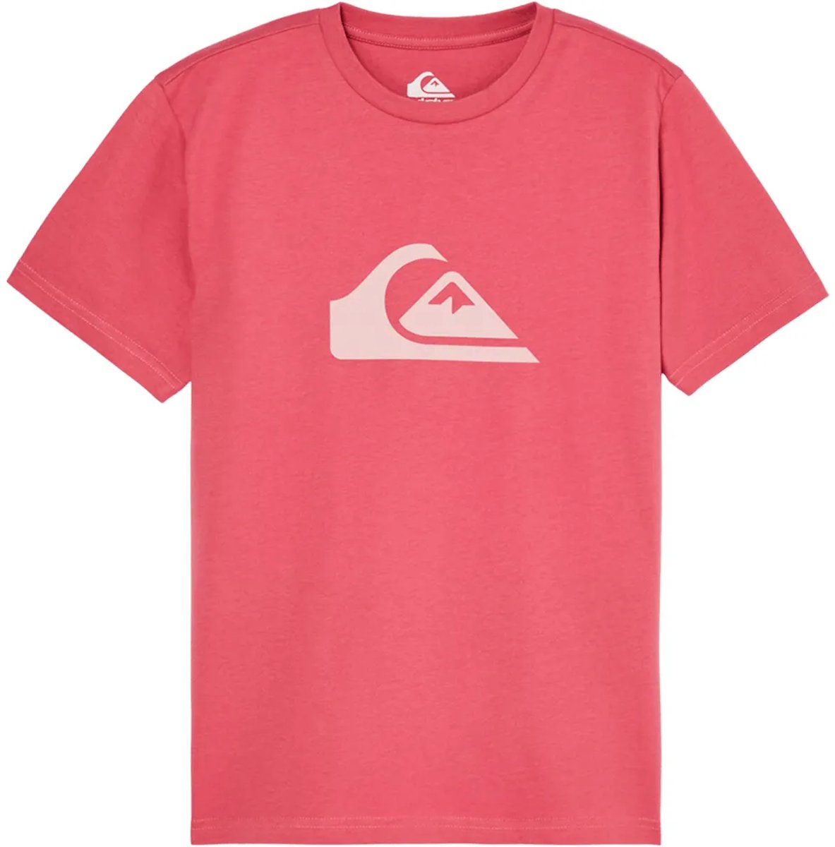 Quiksilver Evo Comp Logo T-shirt Met Korte Mouwen 14 Years Jongen Slate Rose