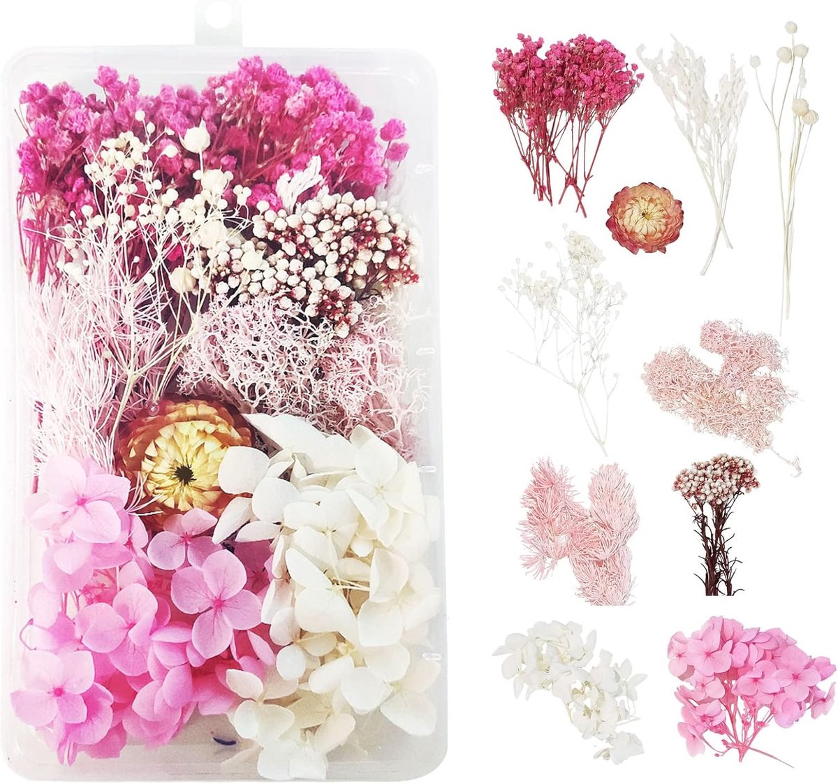 SnelShoppen - Natuurlijke Gedroogde Bloemen voor Hars, Decoratie, DIY Sieraden, Kaarsen, Nail Art, Handwerk, Scrapbooking, Levendige Kleuren, Perfect