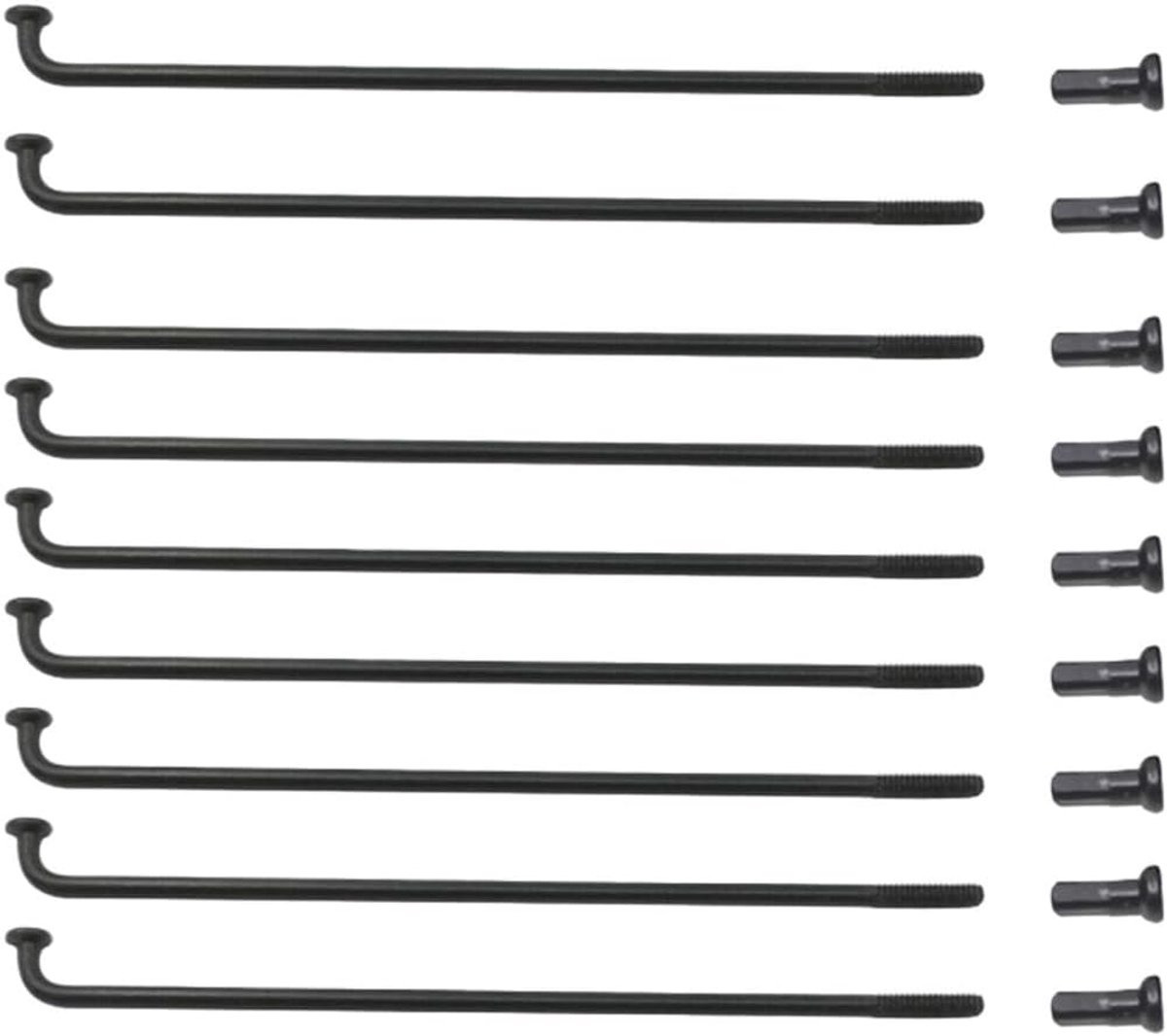 Fietsspaken - Reserveonderdelen Fiets - Wiel Reparatie - Roestvrij Staal - 248 mm - Zwart
