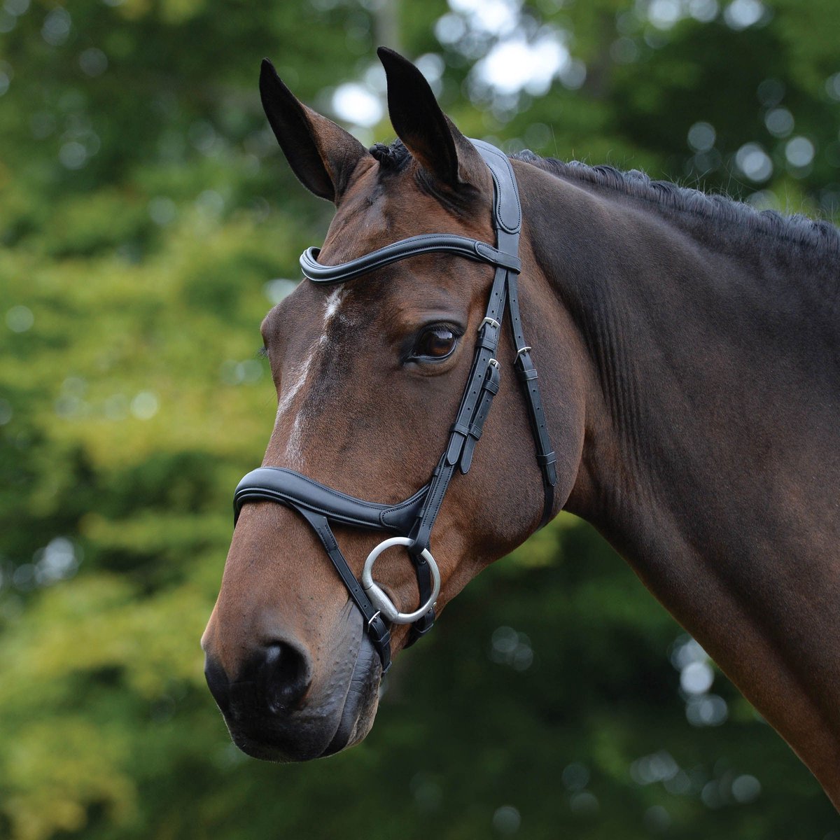 Collegiate ComFiTec Vogue Anatomisch Hoofdstel - Black - Cob