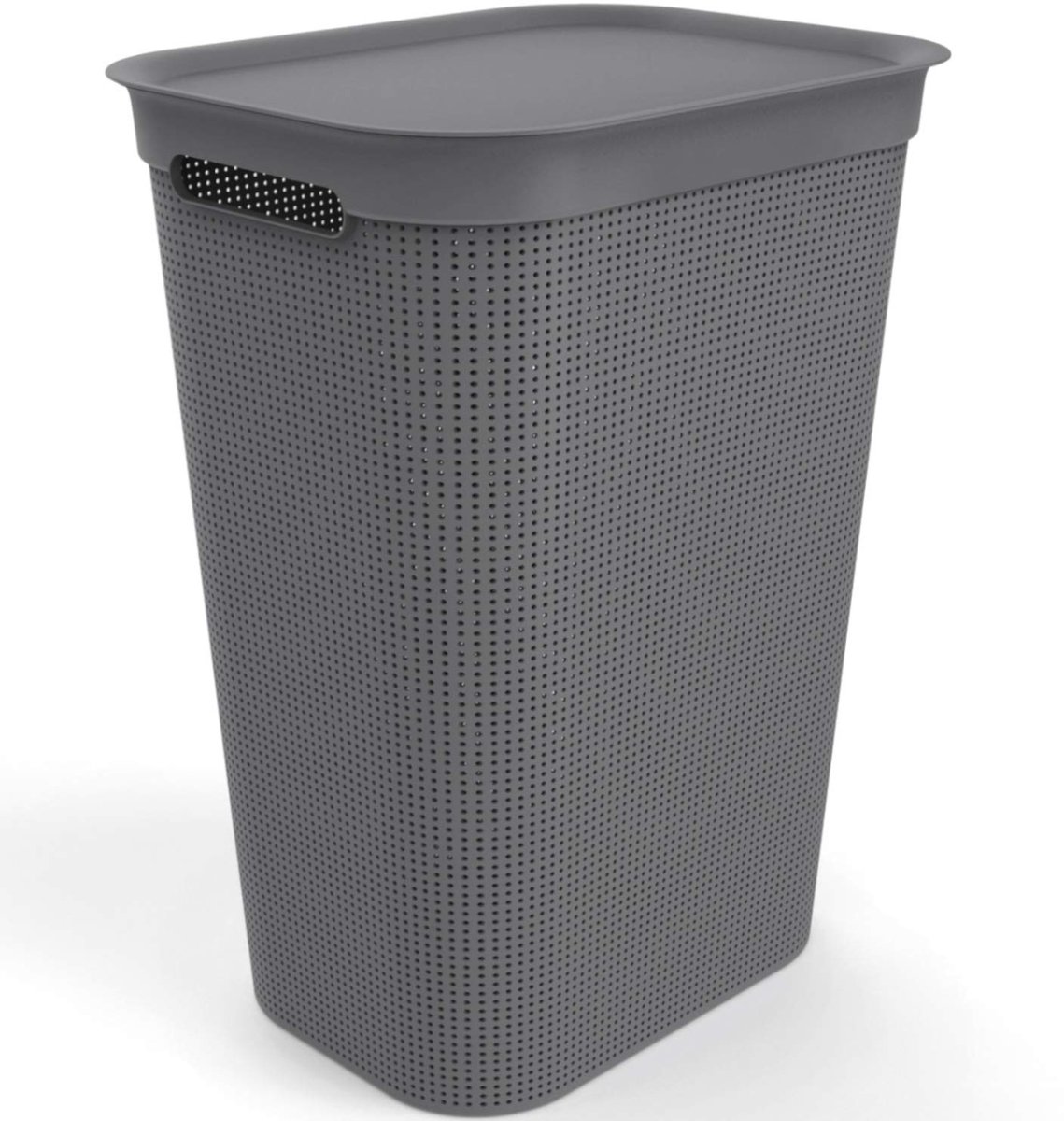 Famanu – Wasverzamelaar van kunststof met deksel en handgrepen, 50 liter, antraciet, 43,1 x 34,0 x 52,9 cm, BPA-vrij
