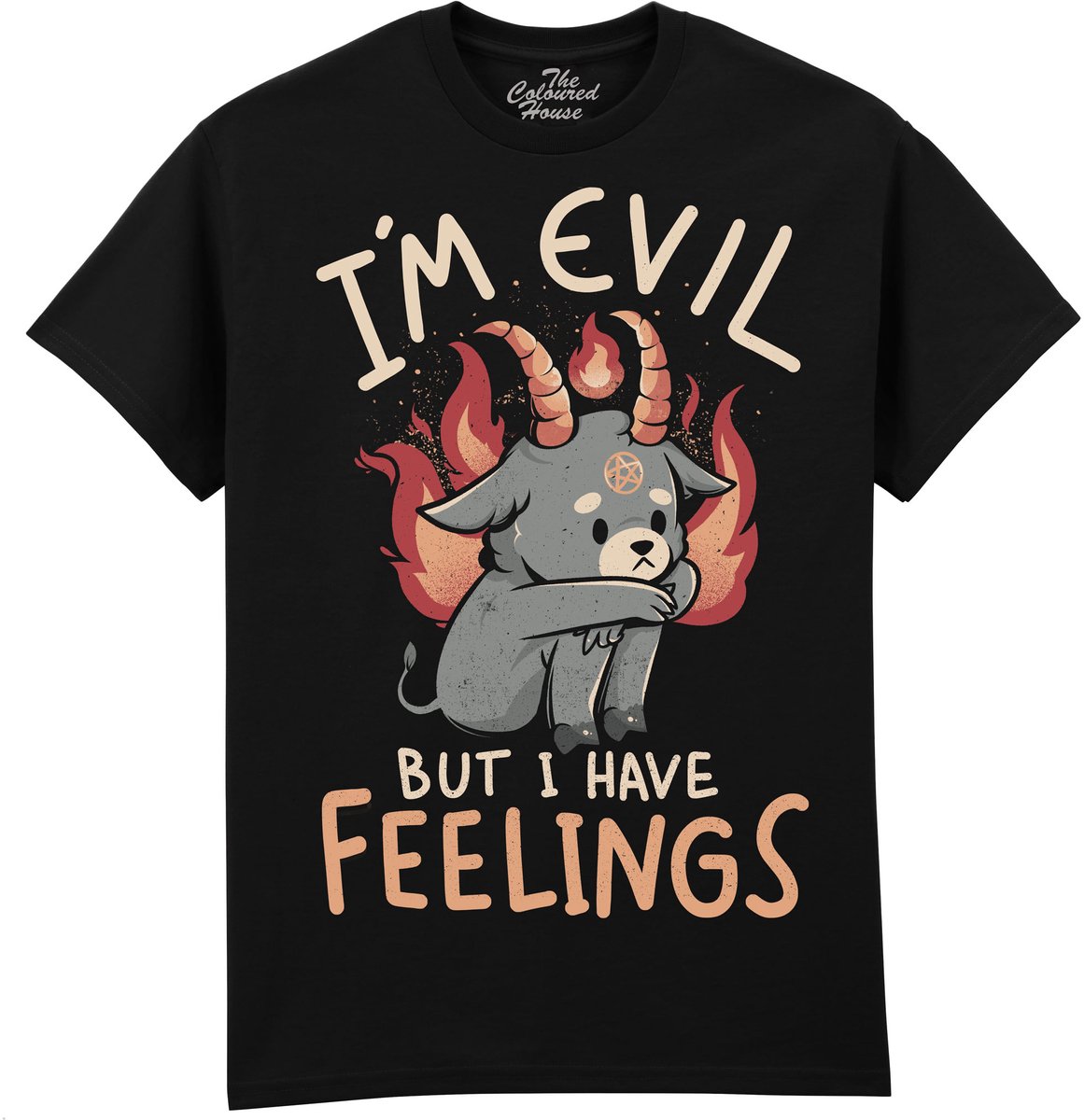I Am Evil But I Have Feelings The Coloured House T-shirt 5XL