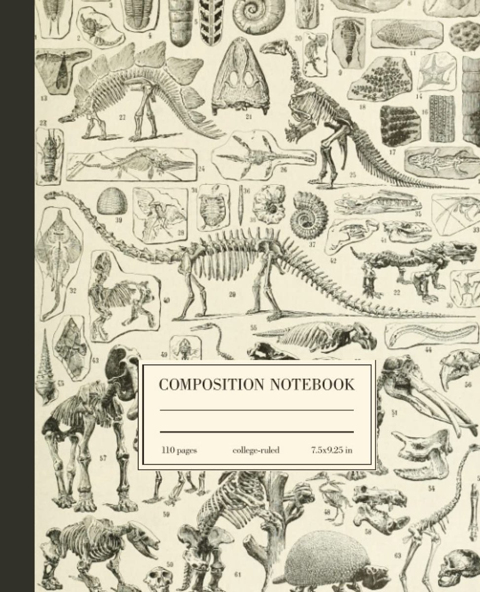 Composition Notebook College Ruled: Dinosaur Fossils Vintage Science Illustration - ShopVlot