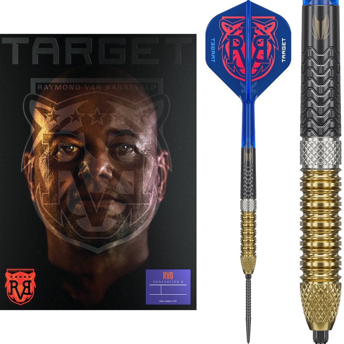 Target Raymond van Barneveld G6 Swiss Point 95% - Dartpijlen