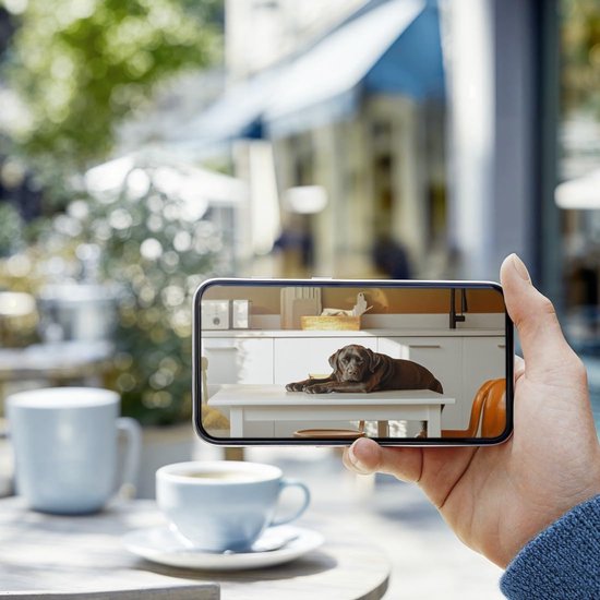 Bewakingscamera Binnen - Slimme Wifi Camera - Huis Dieren Monitoren - Tweeweg Audio - 1080p Full HD - Zwart — afbeelding 2