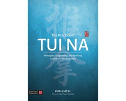 The Practice of Tui Na: Principles, Diagnostics and Working with the Sinew Channels