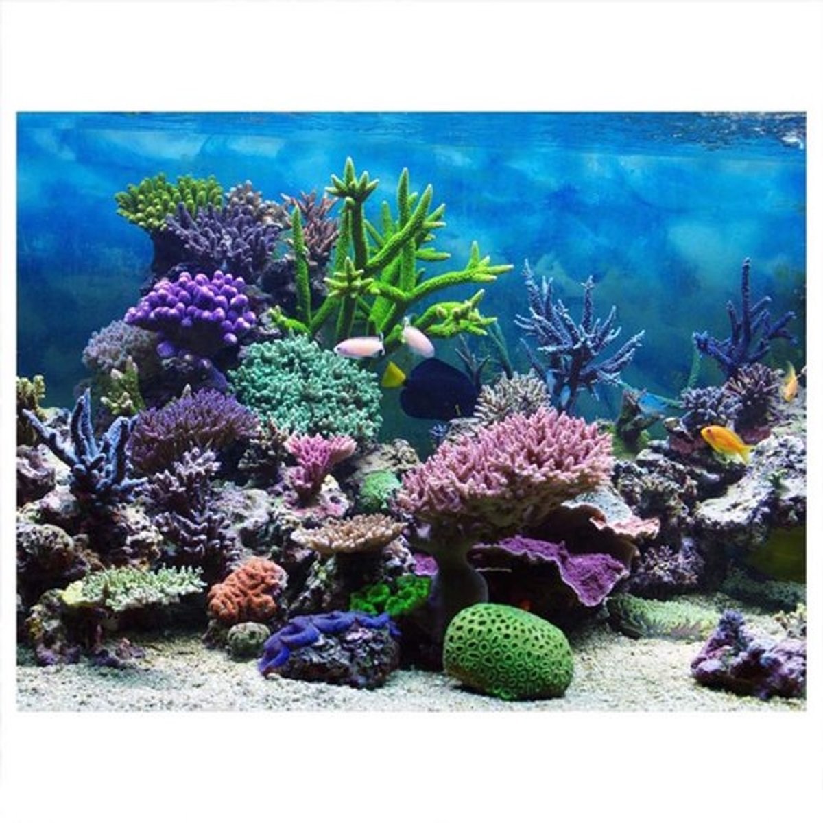 Allecto - Pvc Zelfklevende Aquarium Achtergrond Poster - Onderwater Koraal Decor