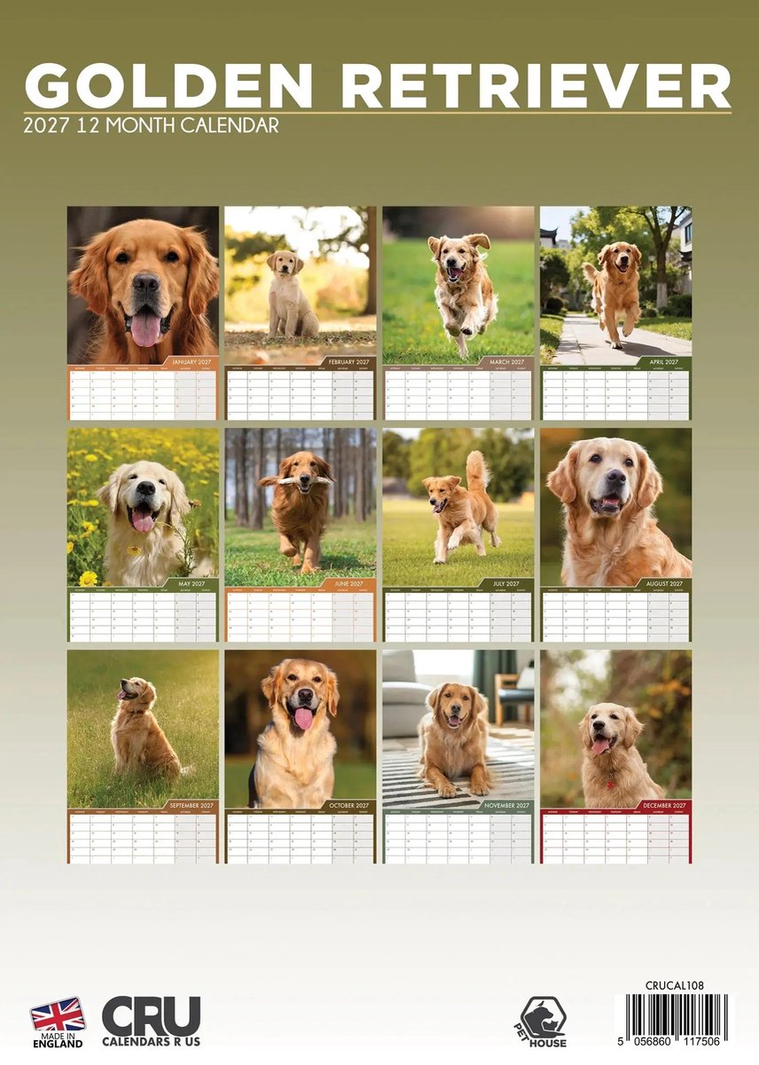 Golden Retriever A3 Kalender 2027