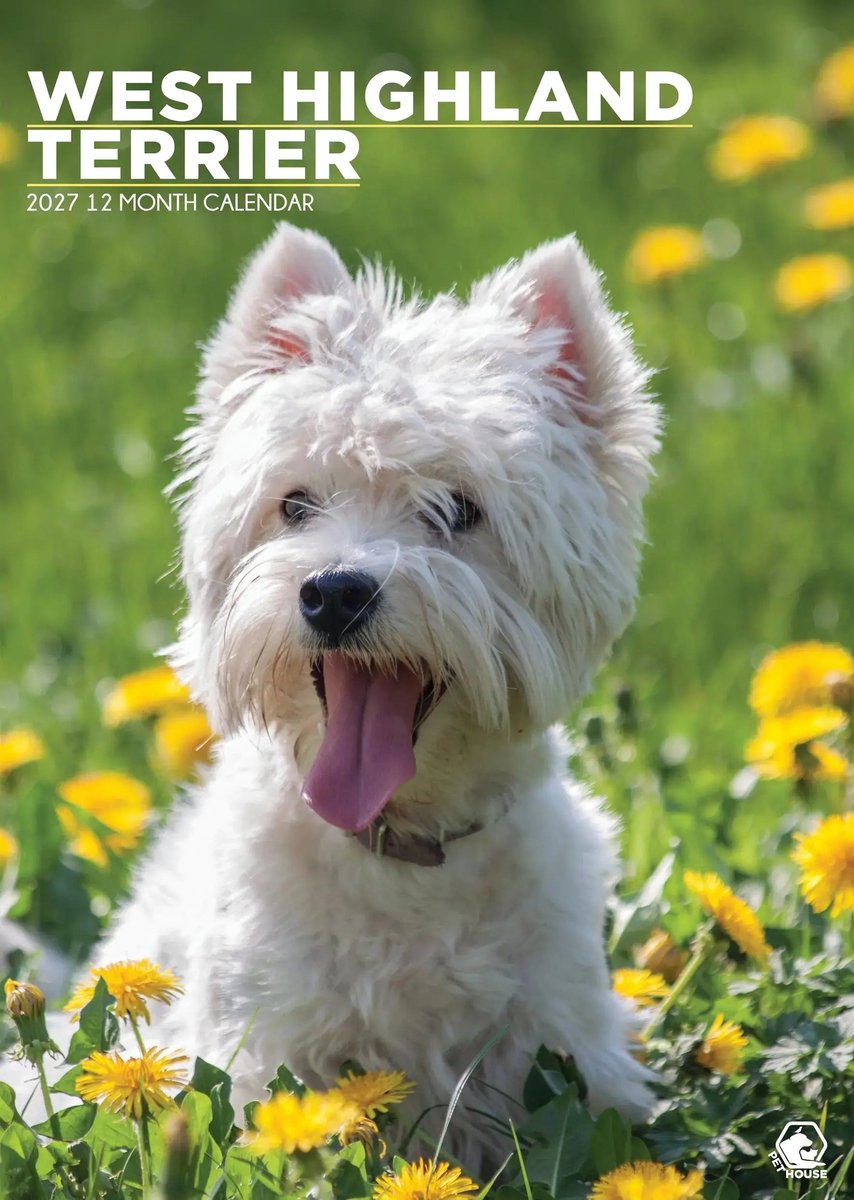 West Highland White Terrier A3 Kalender 2027