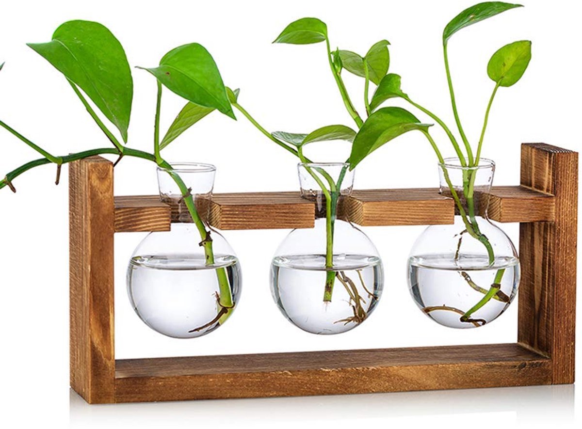 Omgoods - Propagation Station met Glazen Vazen en Houten Rack - Decoratieve Plantenhouder
