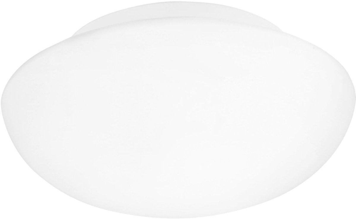 Omgoods - Plafondlamp Ella met 2 Lichten en Stalen en Glazen Afwerking