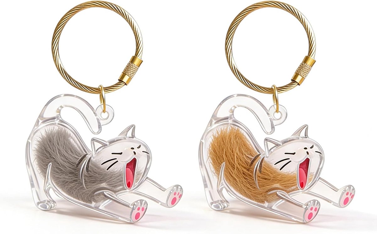 2 stuks sleutelhangers met kattenhaar, DIY-hangers gemaakt van kattenhaar, transparante opbergdoos voor kattenhaar, kattenhaar hanger, creatieve gedenkgeschenken voor dierenliefhebbers
