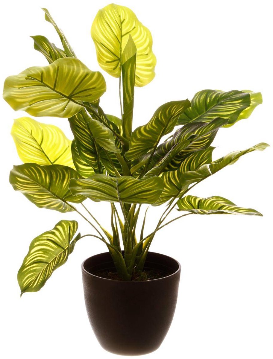 Kunstplant IMA