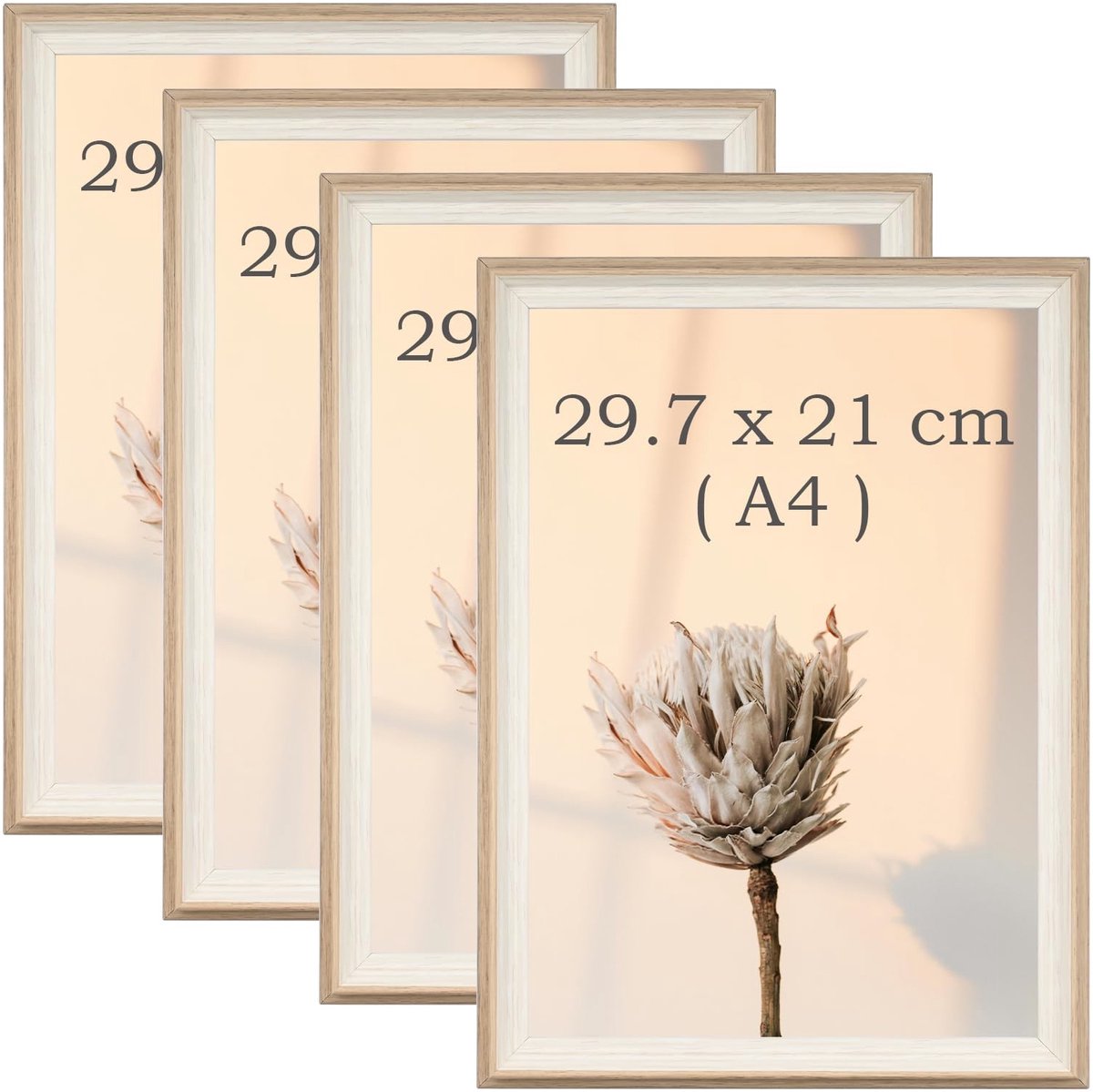 Omgoods - Set van 4 Fotolijsten - Staande en Wandmontage voor A4 Afbeeldingen