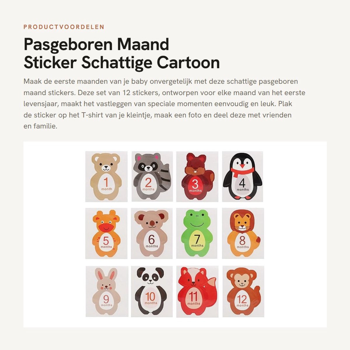 Dailygoods- Mijlpaalstickers 12 Stuks - Baby Maand Stickers - Foto Accessoires - Herinneringen - Schattige Cartoon - Papier 13x11,5 cm