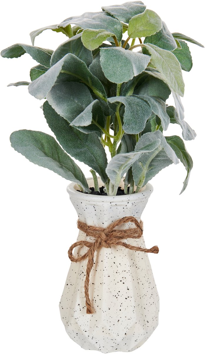 Beliani PEPEROMIA ARGYREIA - Kunstplant - Groen - 30 cm - Synthetisch