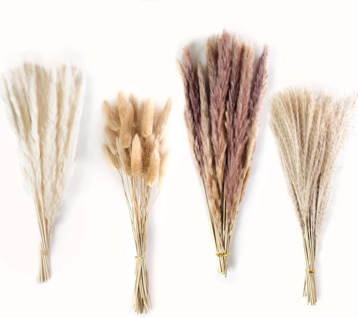 Gedroogd Pampasgras - Natuurlijke Riet - Vaas Decoratie - 80 Stuks Set - 40 cm Lengte - Natuurlijk