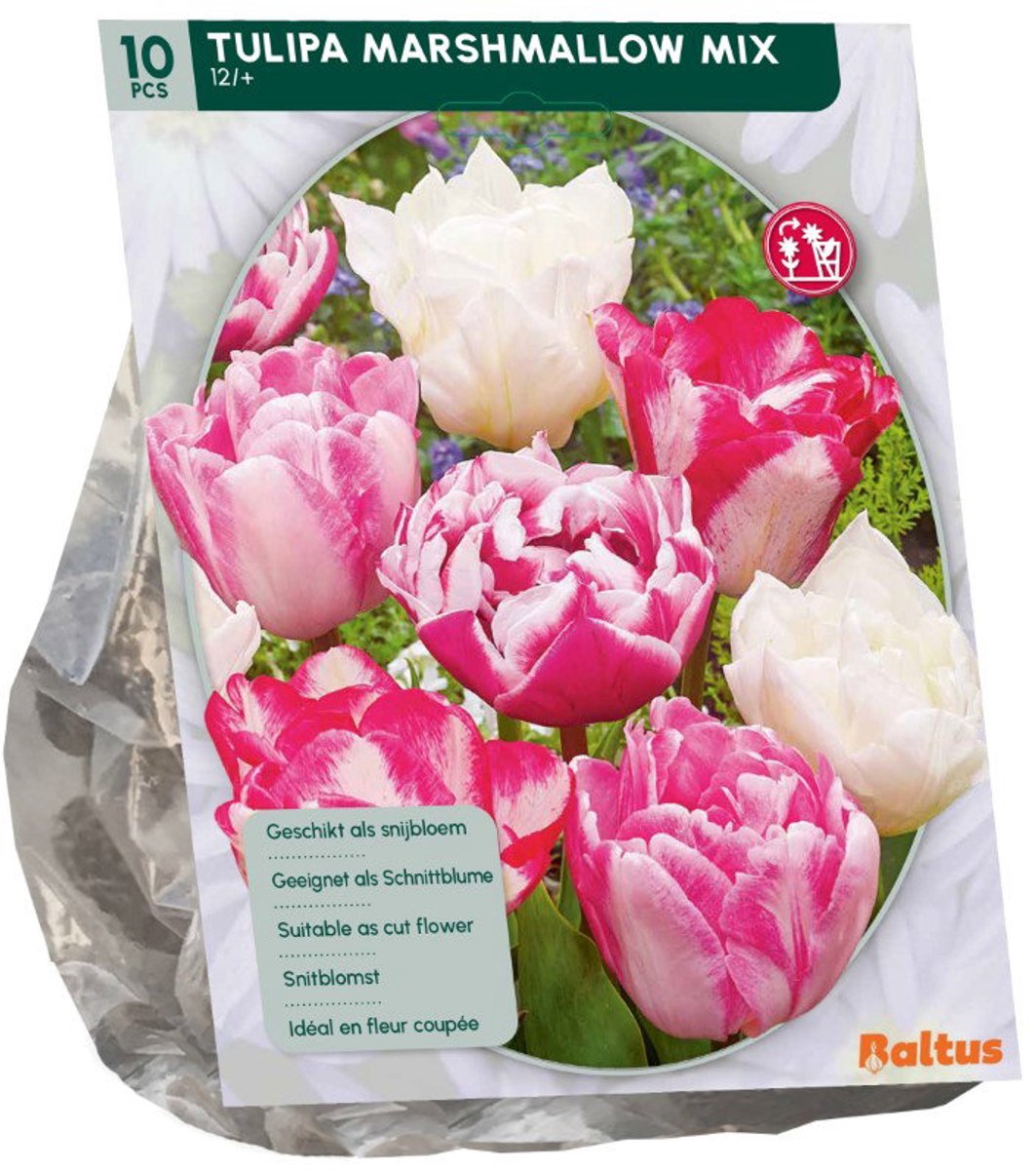 Tulipa Marshmellow mix 10 stuks bloembollen Baltus