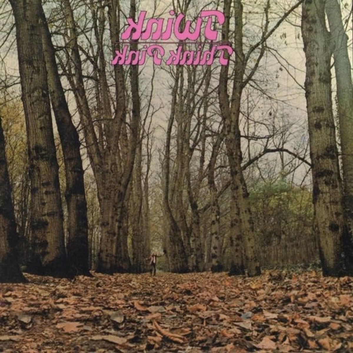 Vinyl Plaat - Muziek Drager - Muziek Luisteren - Originele Persing - 32 cm - Roze