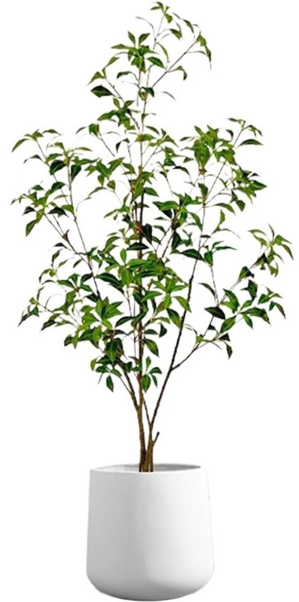 Kunstplant Boom - Nep Plant Gipskruid - Woonkamer Decoratie - Onderhoudsvrije Schoonheid - 16x16x16 cm - Enkel Kenmerk